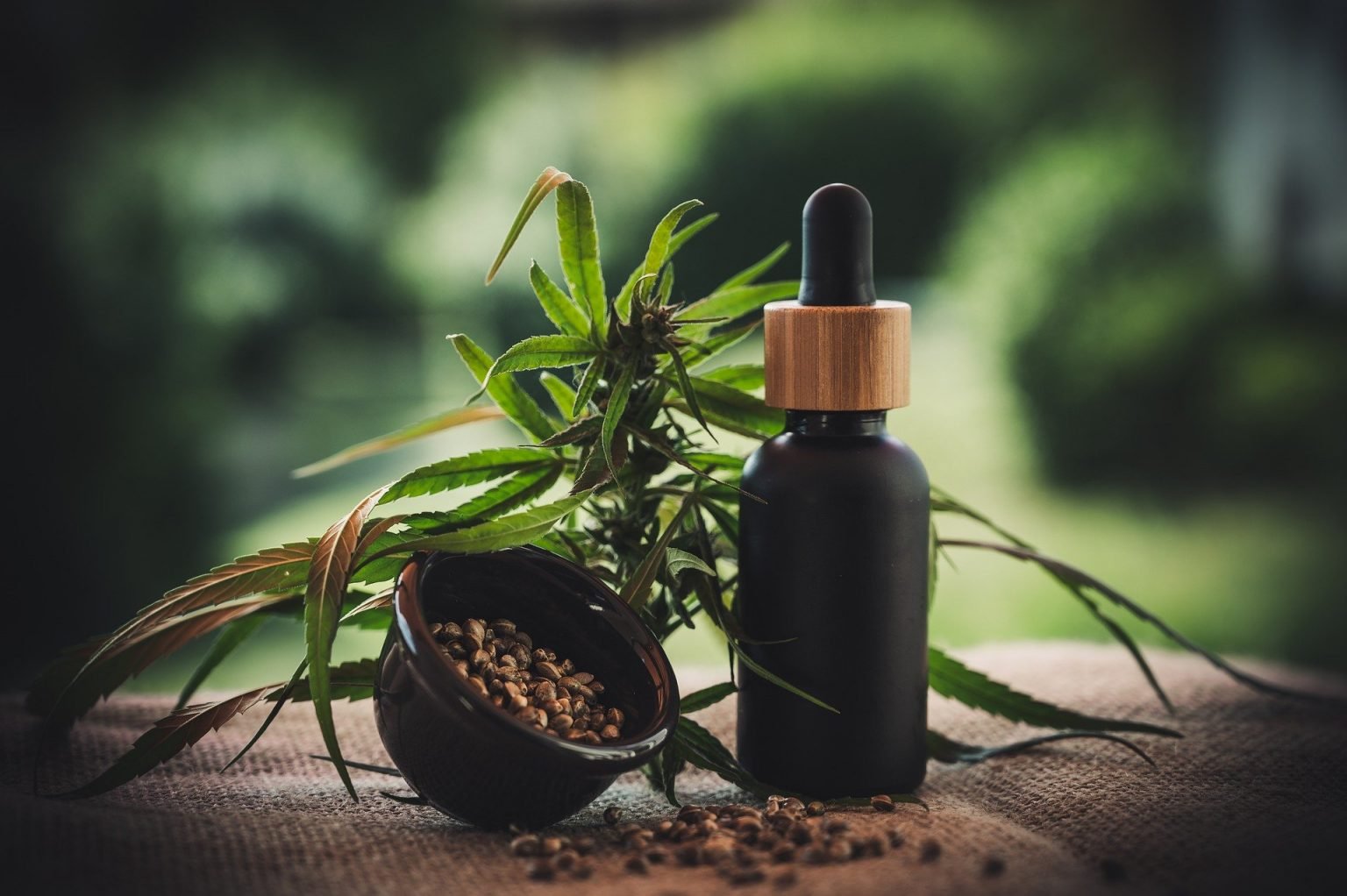 Aceite de Cannabis: preparación, beneficios y dosificación