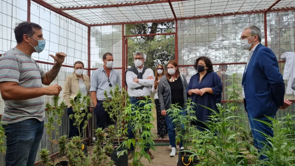 Chubut: Carla Vizzotti visitó proyecto de cannabis medicinal