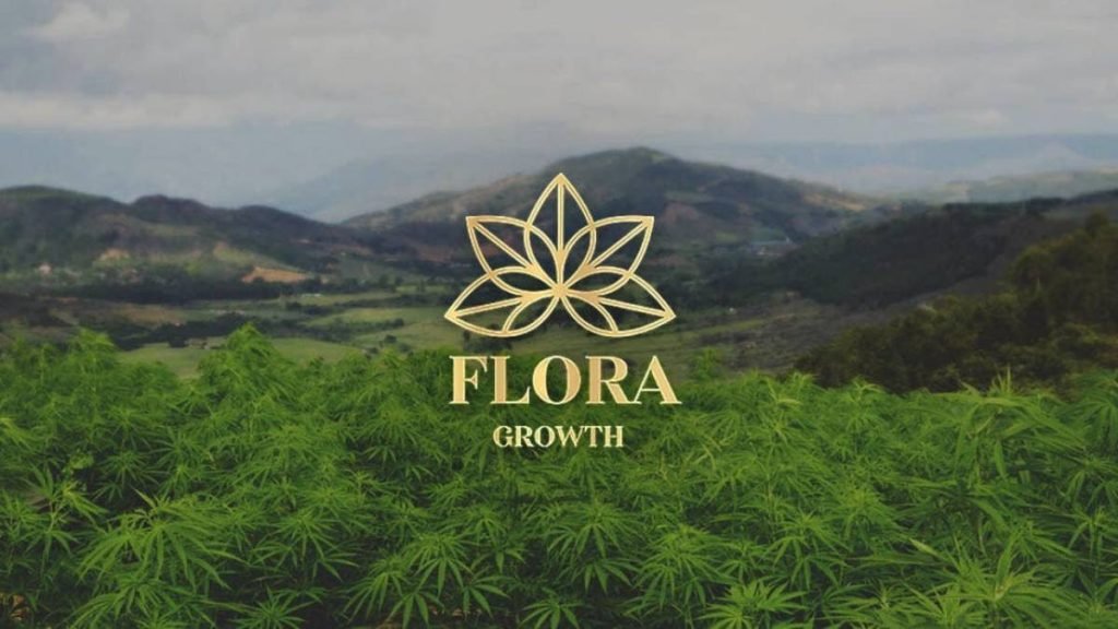 Suben las Acciones de Flora Growth Tras Acuerdo para Exportar Flores con THC a Israel