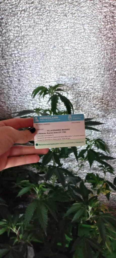 REPROCANN: HABILITAN EL CULTIVO EN RED PARA ONGs Y SE AMPLIA EL ESPACIO DE CULTIVO EN EXTERIOR