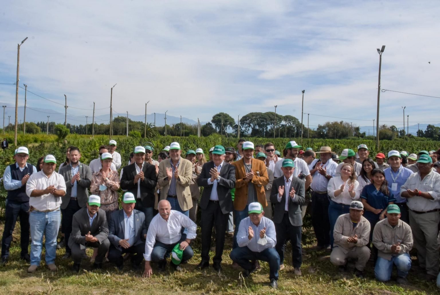 Jujuy comenzó la cosecha de más de 25 mil kilos de cannabis