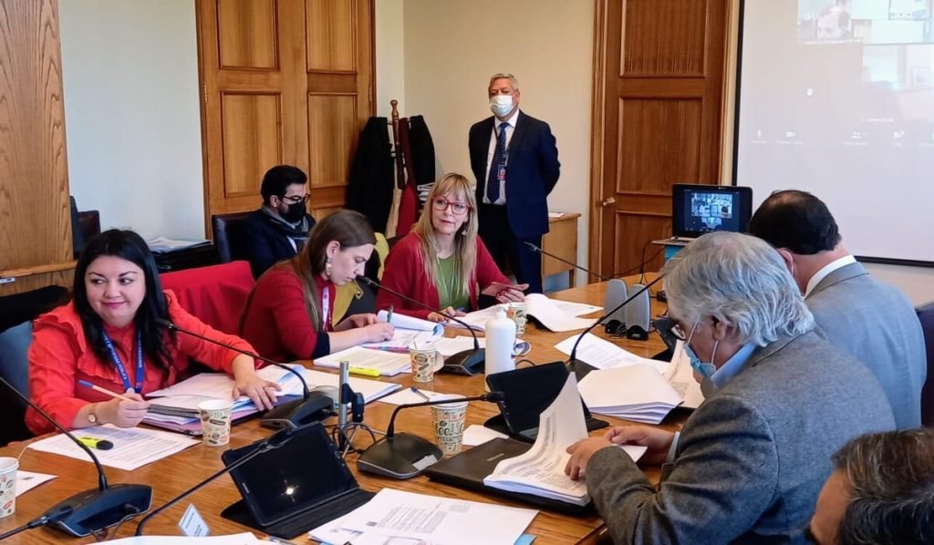 Chile avanza en legislar el uso personal del cannabis