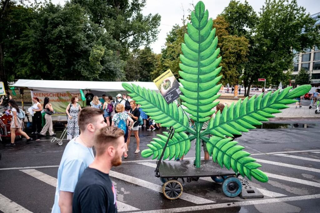 Alemania legaliza el cannabis: solo para adultos y limitado a tres plantas por persona