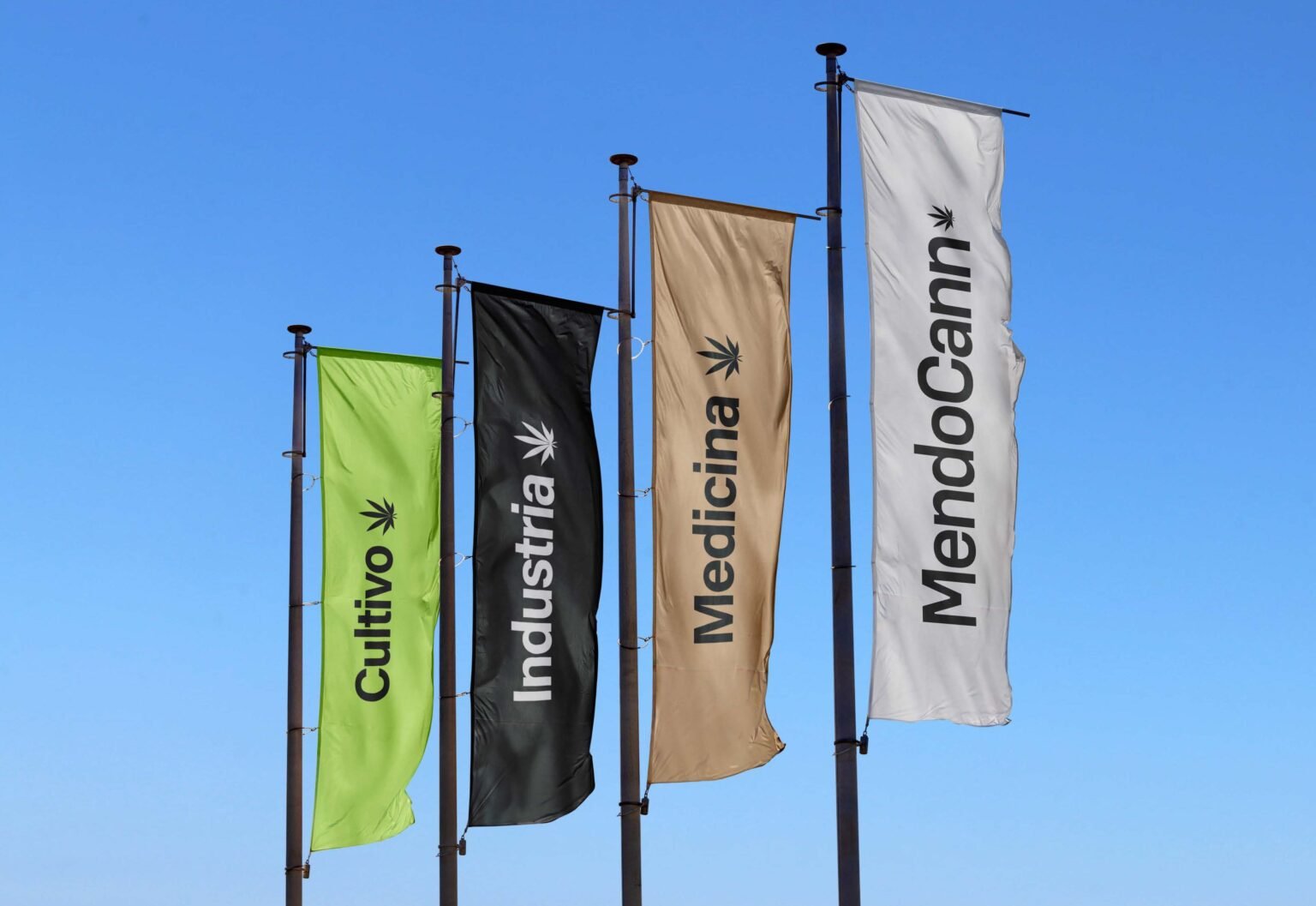 MendoCann: llega una nueva exposición a Mendoza sobre industria y cultivo de cannabis