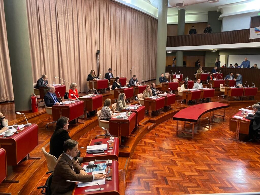 Chubut es la primera provincia en aprobar una regulación propia para la venta de cannabis medicinal