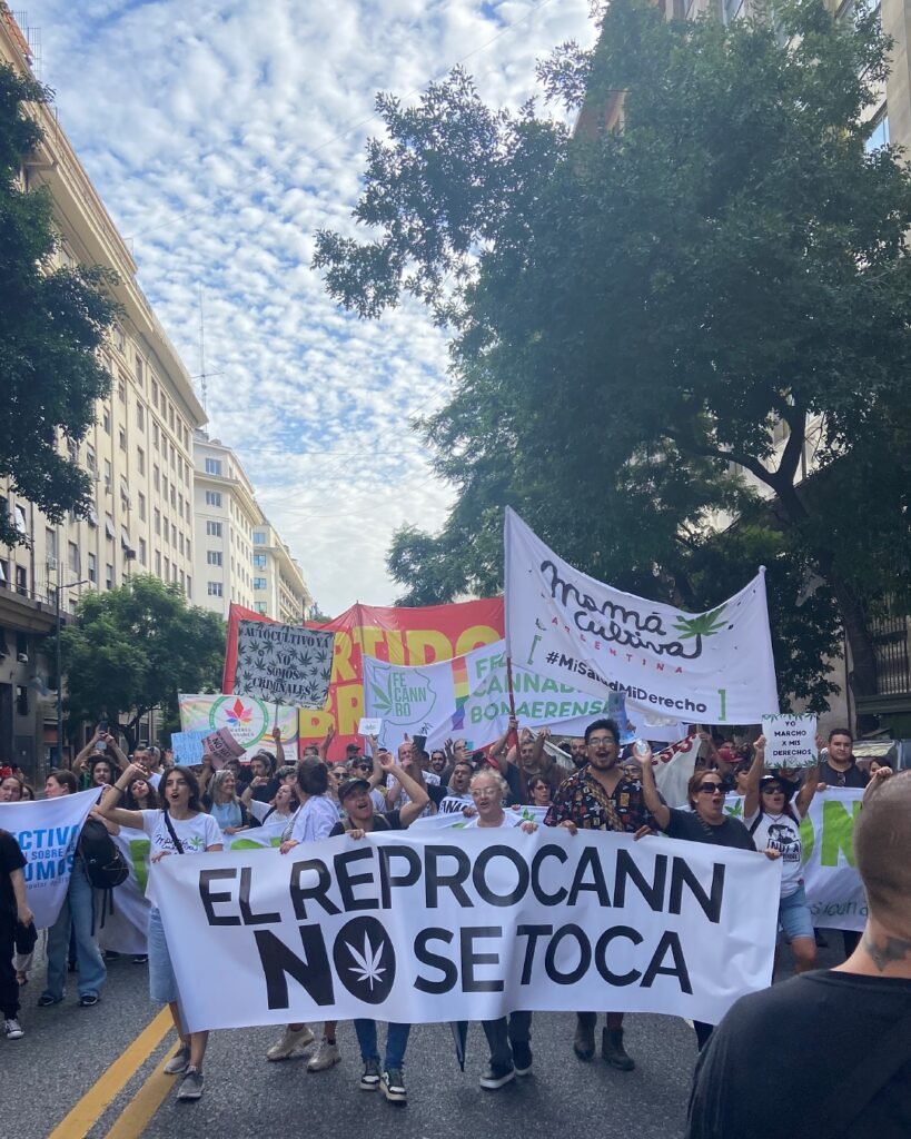 Marcha por la salud: la comunidad cannábica se sumó al reclamo y defendió el acceso al cannabis medicinal