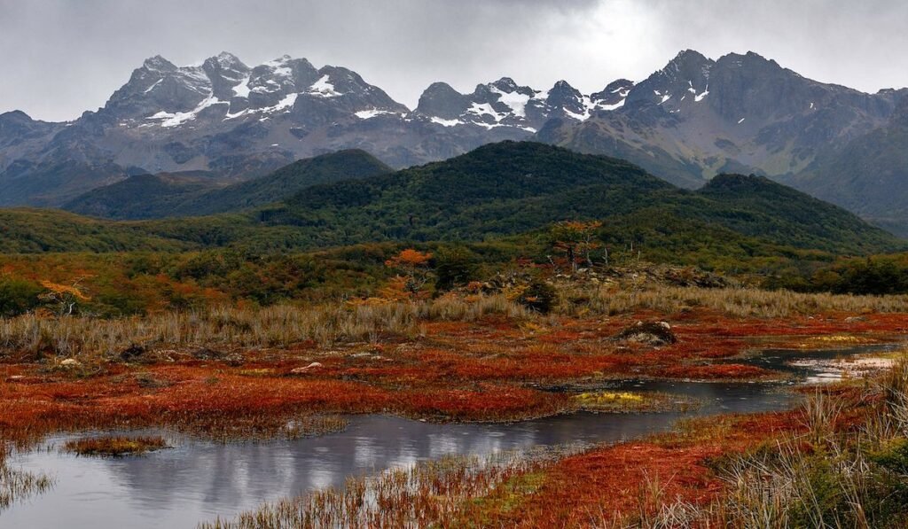Tierra del Fuego: la provincia reglamentó la adhesión a la ley de cannabis medicinal