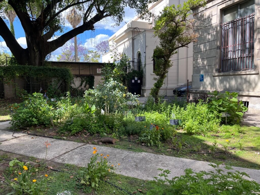 El tesoro botánico de la UNR: “Farmacia Viva”, un laboratorio de plantas medicinales