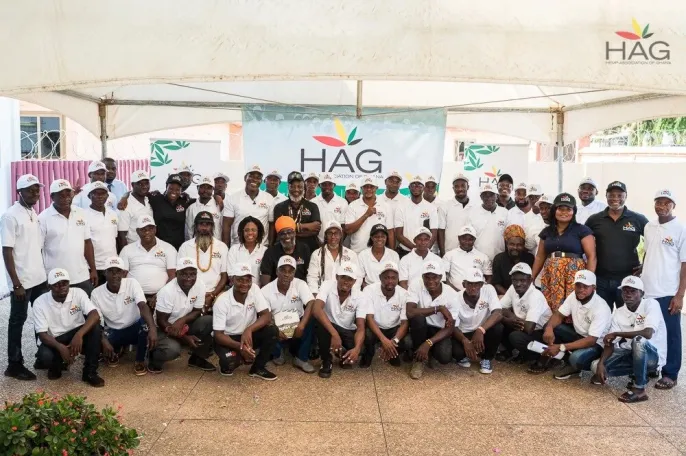 Ghana: productores piden bajar tarifas para licencias de cáñamo