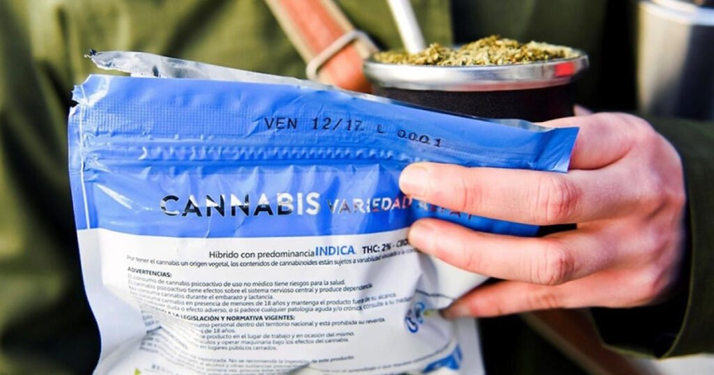 Uruguay alcanzó récord histórico en venta de cannabis legal y proponen que pague IVA