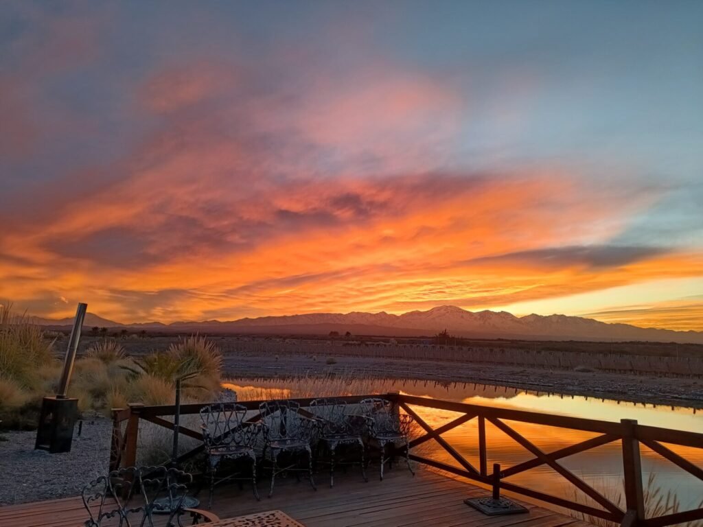 MendoCann 2026: punto de encuentro en Mendoza para la industria, la medicina y el cultivo de cannabis